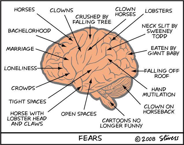 Fear Brain
